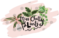 Miss Chatty Plants